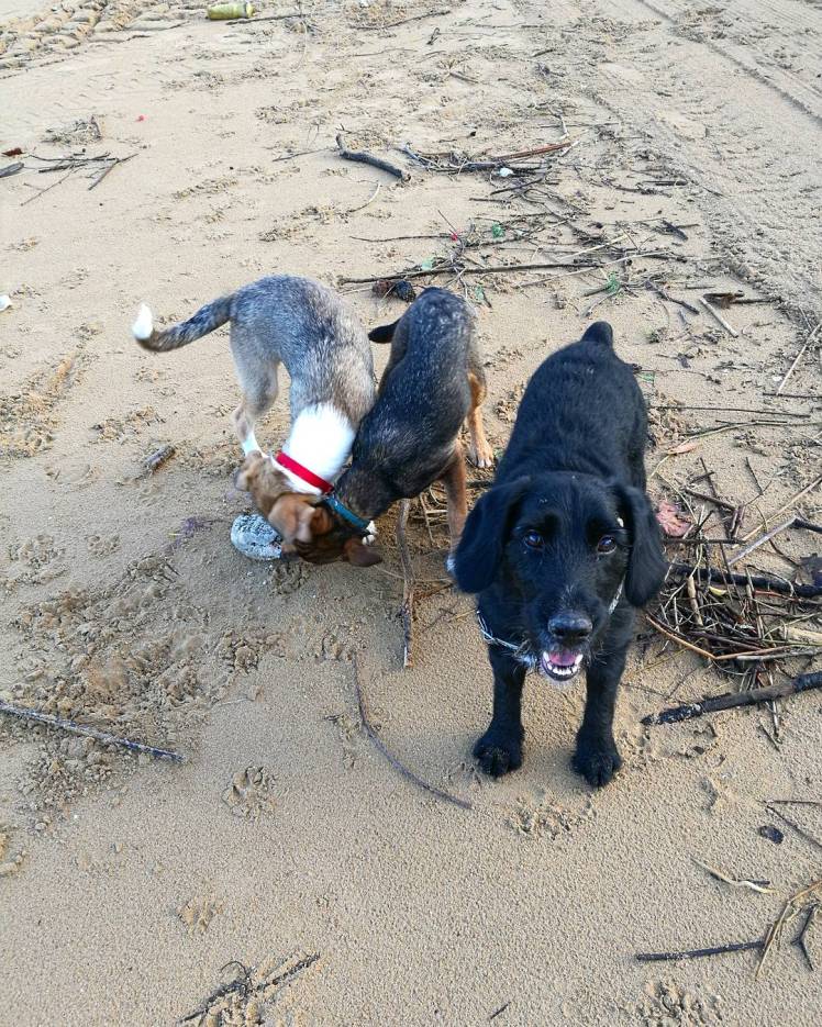 IMG_20171216_070236_196