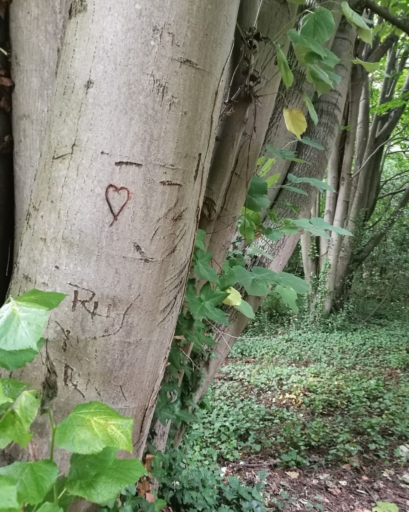 Corazón tallado en árbol